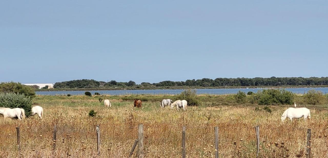 La Cigale De Mer A 100 M De La Plage Et Du Centre Ville Du Grau Du Roi Le Grau-du-Roi Esterno foto